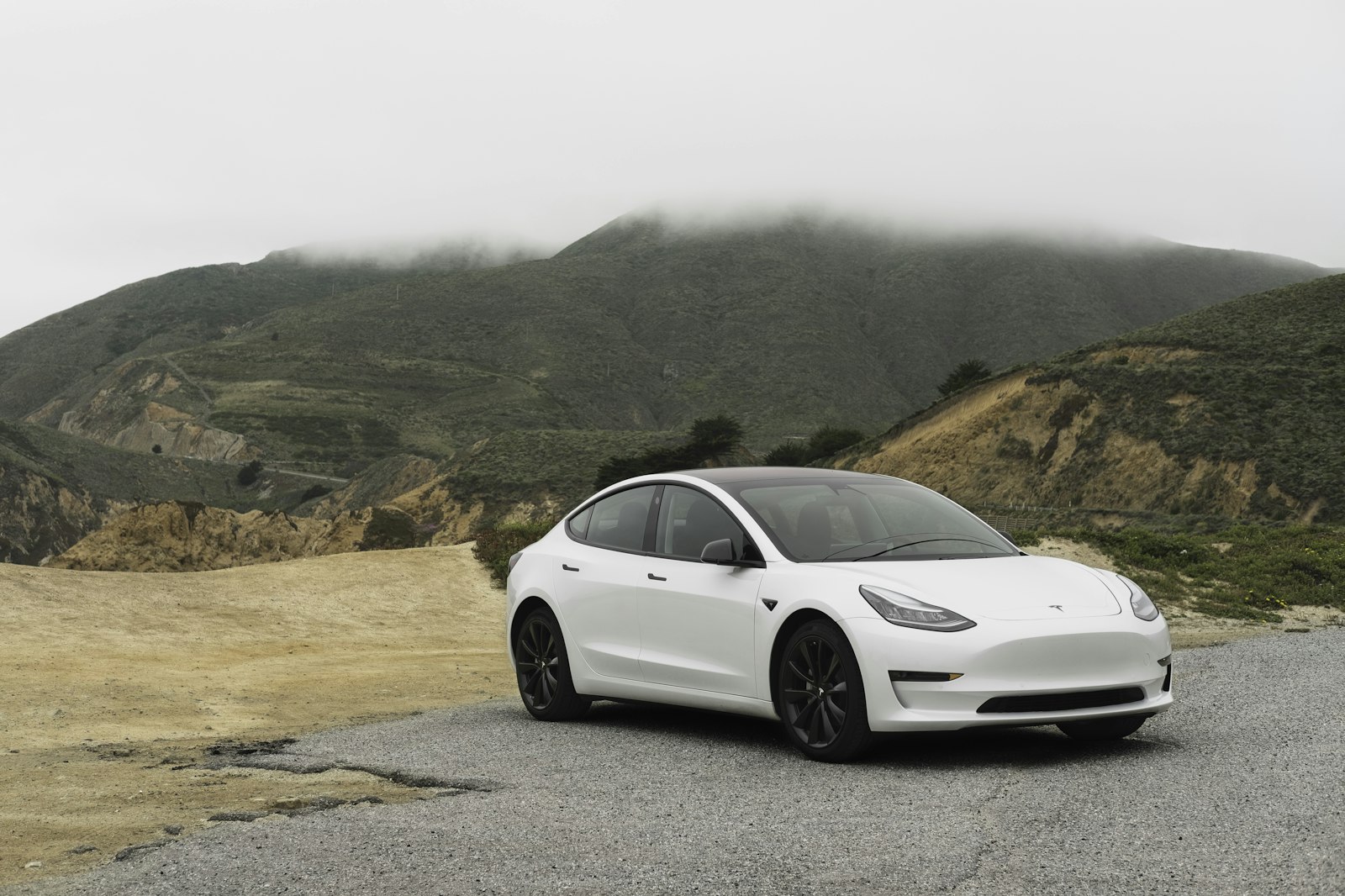 Tesla Model 3 Performance